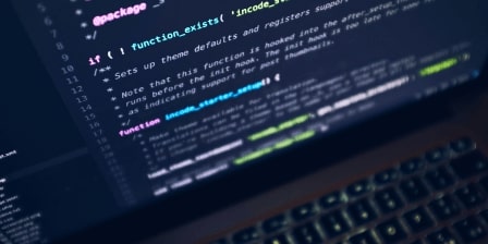 Сustom Java development